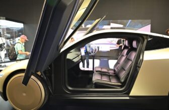 Elon Musk Wades Into the Debate Over Robotaxis Killing Cats. Guess Which Aspect He is On