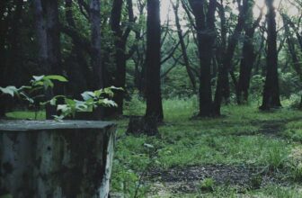 Hideo Kojima’s ‘P.T.’ Demo is Serving to Japanese Youngsters Study English