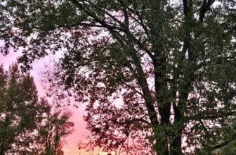 The Little Issues Publication #494 – Life, laughter, and many nice meals!