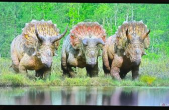 This LG TV is large on vivid colours however lacks particulars at nighttime