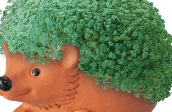 They’re Making a Film About What?!?!