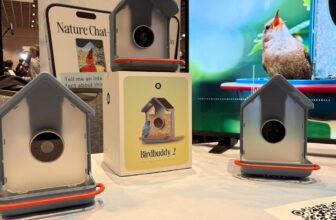Birdbuddy’s new sensible chook feeder can ID birds by their songs