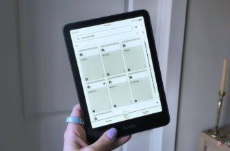 I want each Kindle proprietor knew how straightforward it’s to eliminate litter