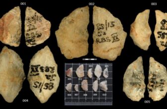 Poison-Laced Arrows Date Again Tens of 1000’s of Years Earlier Than Anticipated