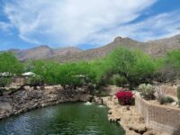 4.3 Friday Faves – The Fitnessista