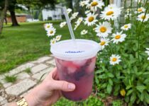 Simple Mocktails – Barefeet within the Kitchen